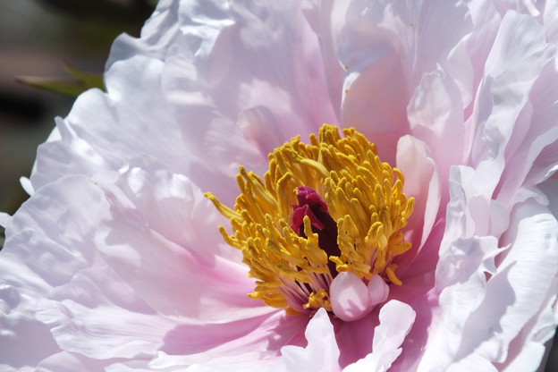 DSCF0035
