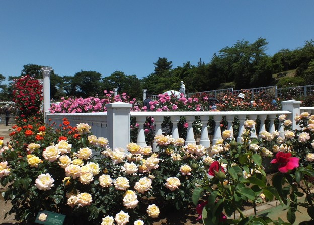 DSCF0274