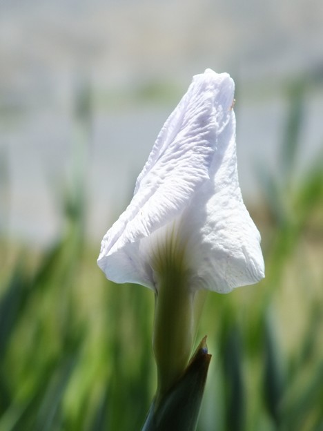 DSCF0120