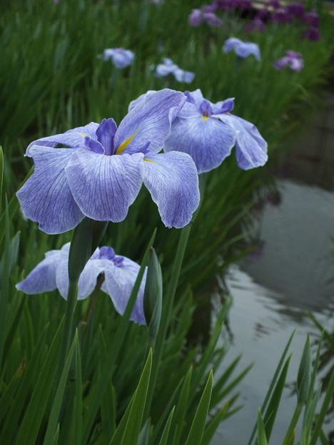 DSCF0311