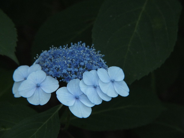 DSCF0382