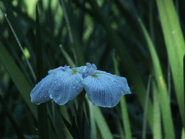 DSCF0045