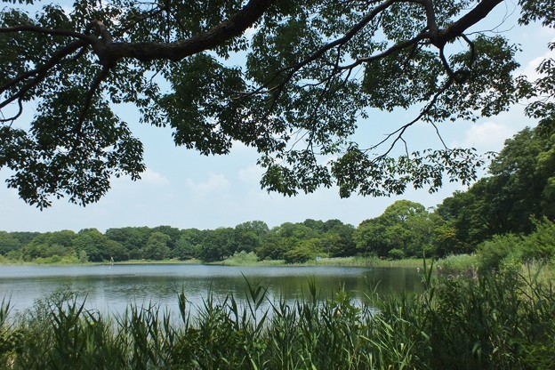 DSCF0020