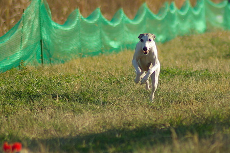 1024IMGP1283