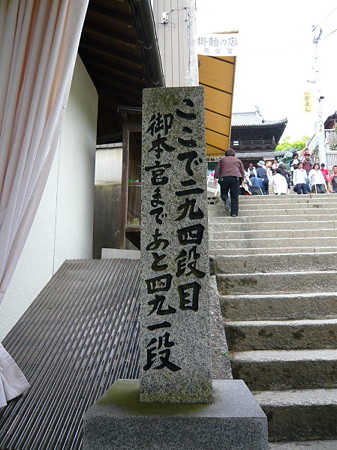 20090506P1010110_1_1