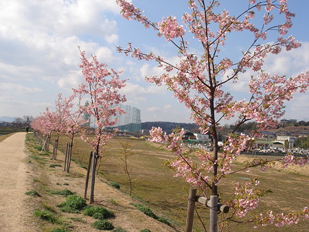 千本桜