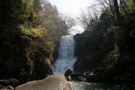 奈曽の白滝