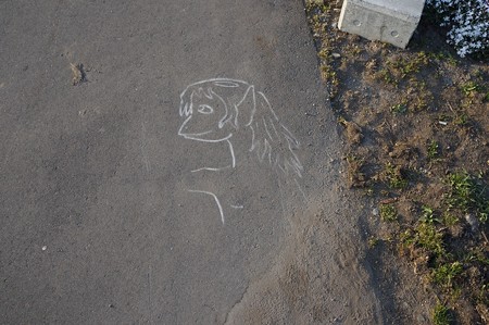 かっぱ