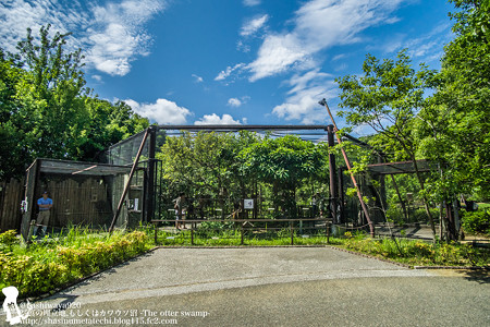 noichi140525002