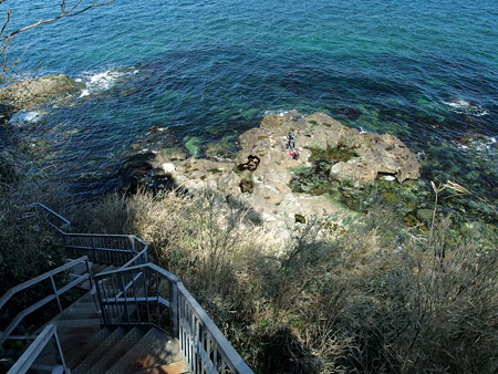 日蓮洞付近の岩礁