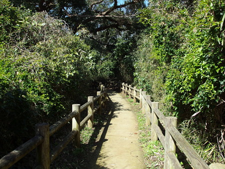 展望広場から続く道