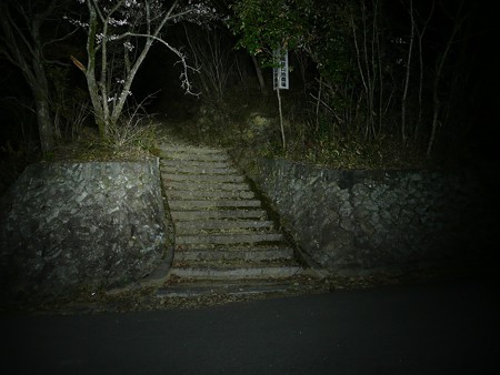 箸蔵寺へ続く遍路道