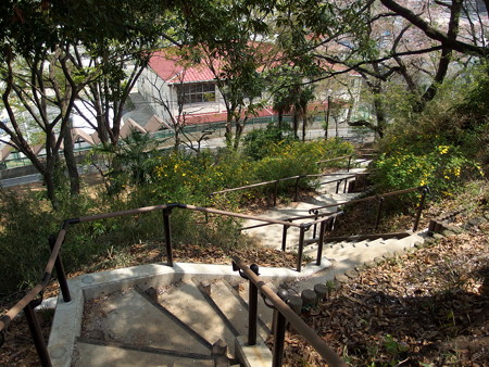 夢見ヶ崎動物公園から続く階段