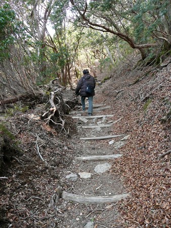 八丁池へ続くハイキングコース