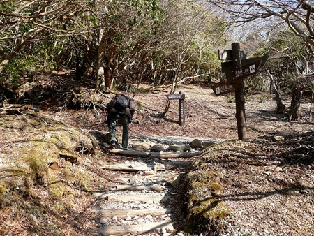 寒天林道との合流点