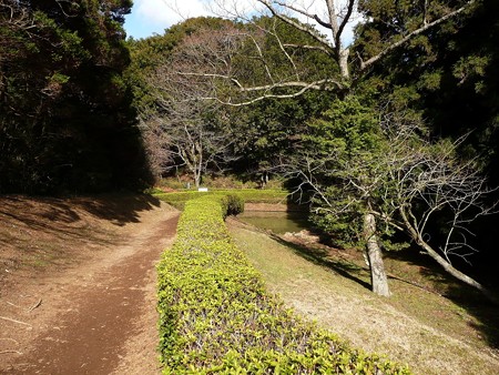 山中城跡三ノ丸堀