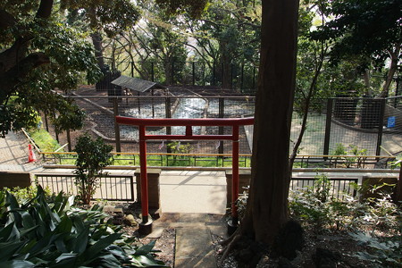 浅間神社から眺めるシカ舎