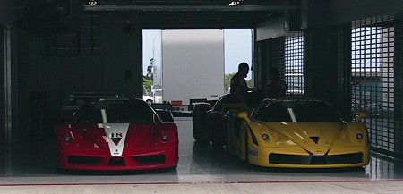 ﾌｪﾗｰﾘｲﾍﾞﾝﾄ