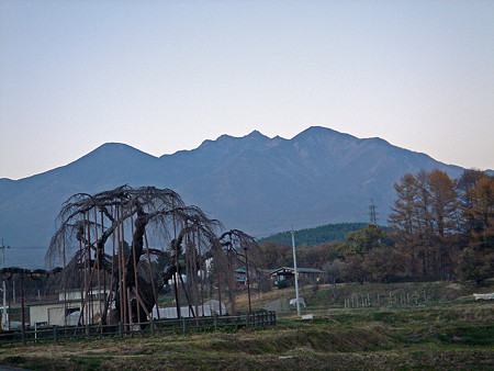 DSC00103_edited
