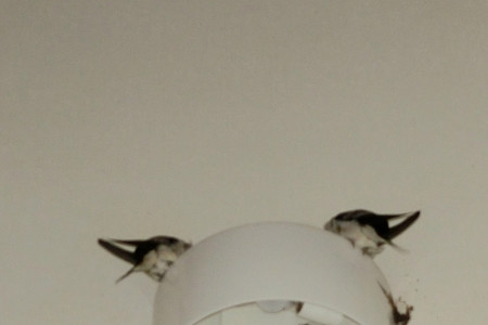 いつもの場所で
