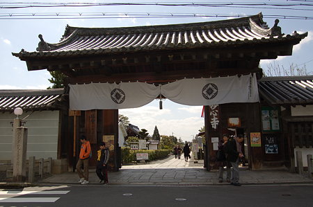 京都特別公開 037