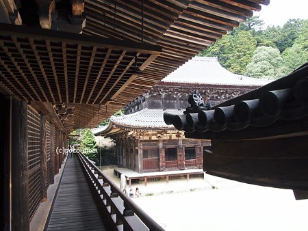 円教寺 食堂、大講堂2014年04月12日_P4120195