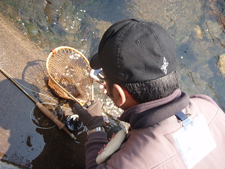 ウコチャン岩魚P4280043