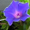 DSCN2539