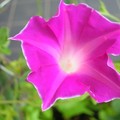 DSCN2564