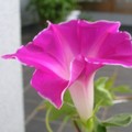 DSCN2566