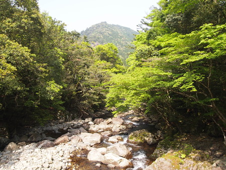 P5032388