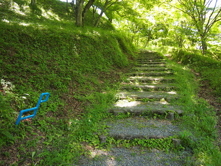 P5042451