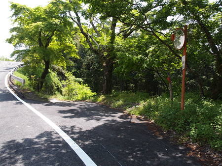 P5042497