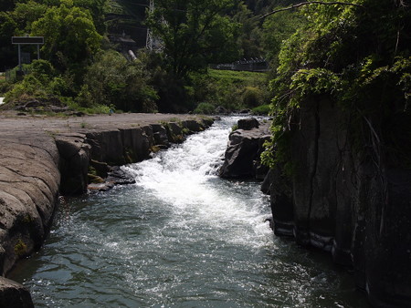 P5042533