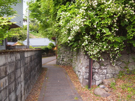P5042707