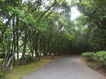 P1012792
