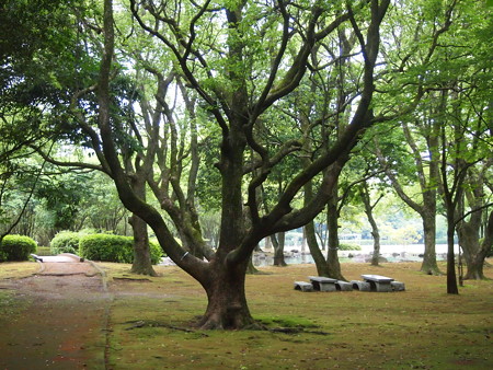 P1012799