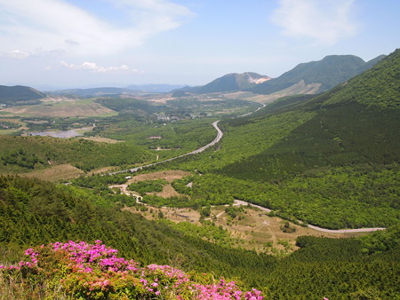 P5232993