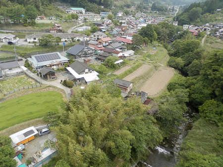 P5253785