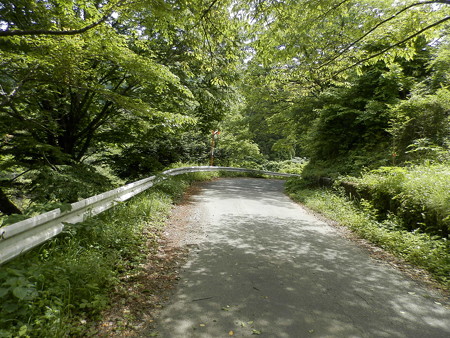 P5253791
