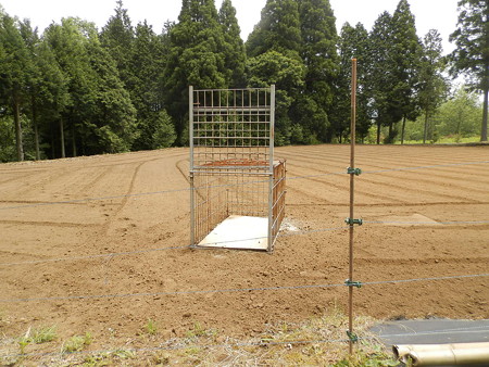 P5253835