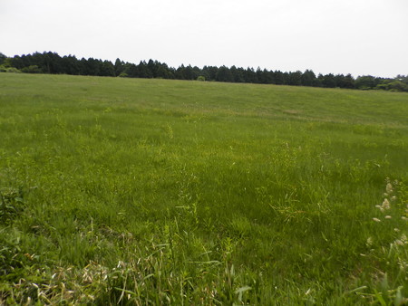P5253869