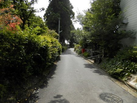 P5253924