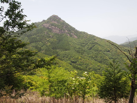 P5283215