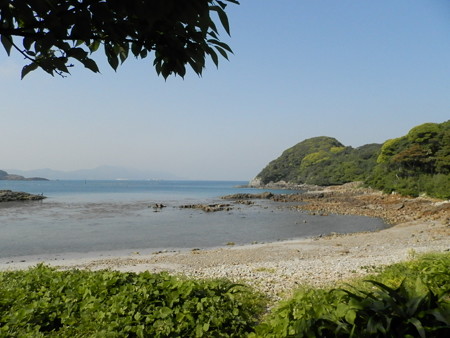 P5313990