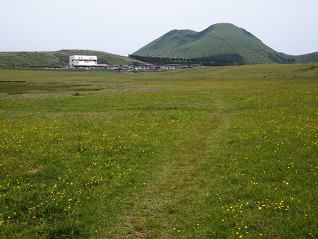 P6013356
