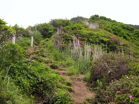 P6013365