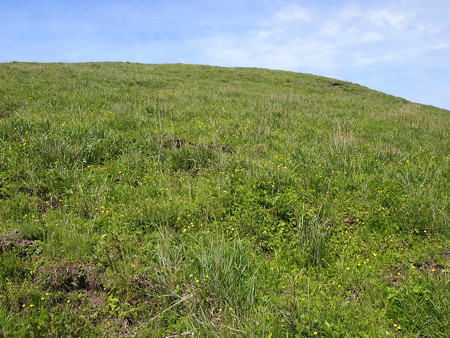 P6013415