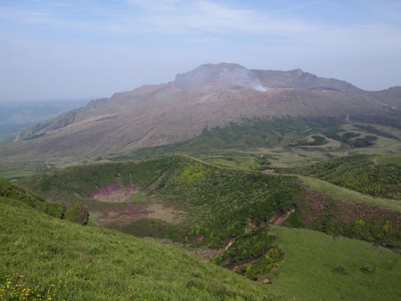 P6013429