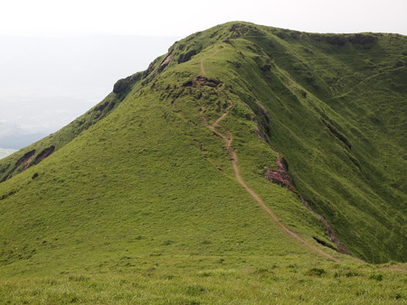 P6013468